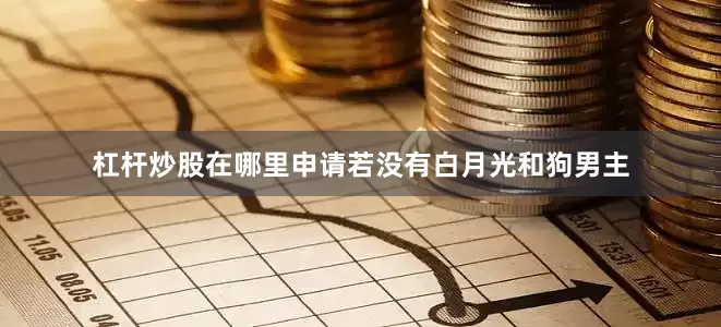 杠杆炒股在哪里申请若没有白月光和狗男主