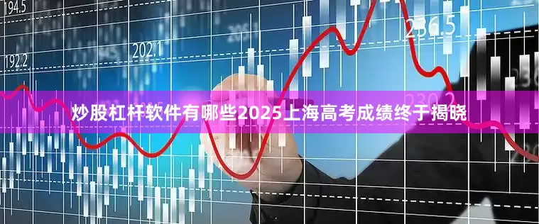 炒股杠杆软件有哪些2025上海高考成绩终于揭晓