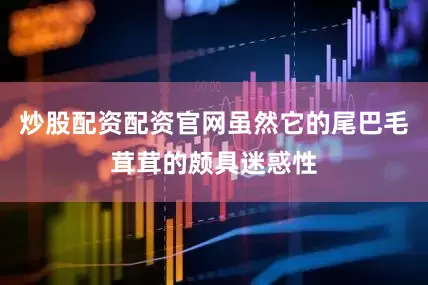 炒股配资配资官网虽然它的尾巴毛茸茸的颇具迷惑性