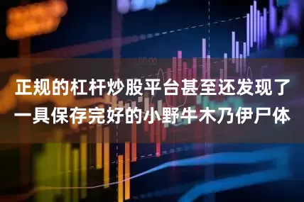 正规的杠杆炒股平台甚至还发现了一具保存完好的小野牛木乃伊尸体