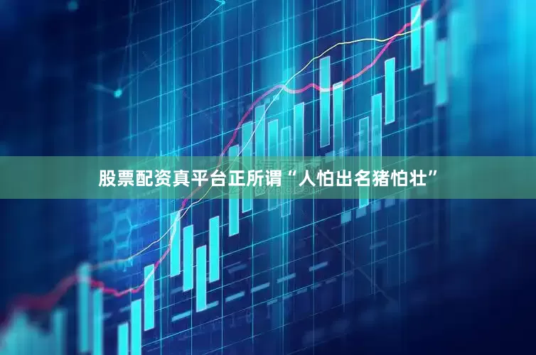 股票配资真平台正所谓“人怕出名猪怕壮”
