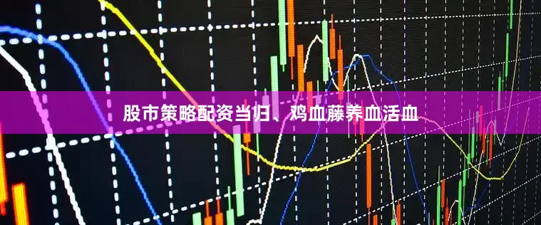 股市策略配资当归、鸡血藤养血活血